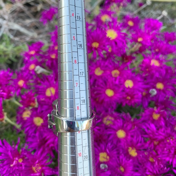 Alan K Cross on Red Stingray with Swords 🗡 on Sides Sterling Silver Ring - Picture 12 of 12